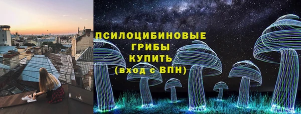 индика Сафоново