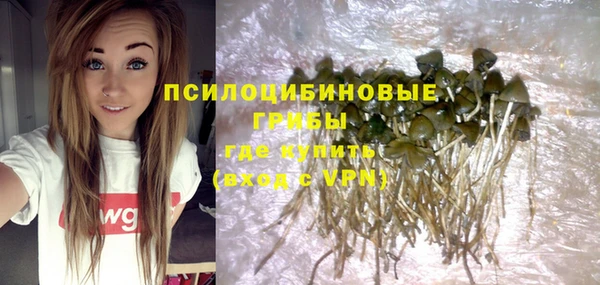 прущая мука Семёнов