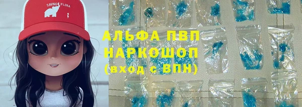 СК Семикаракорск